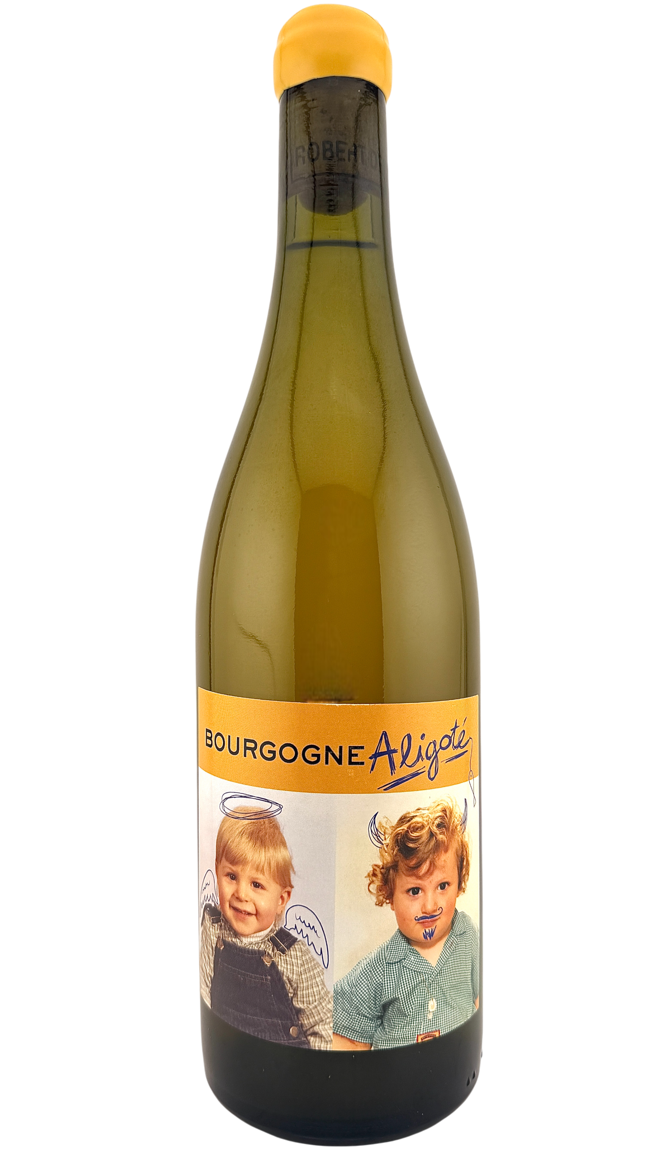 Bourgogne aligoté Domaine Robert Denogent