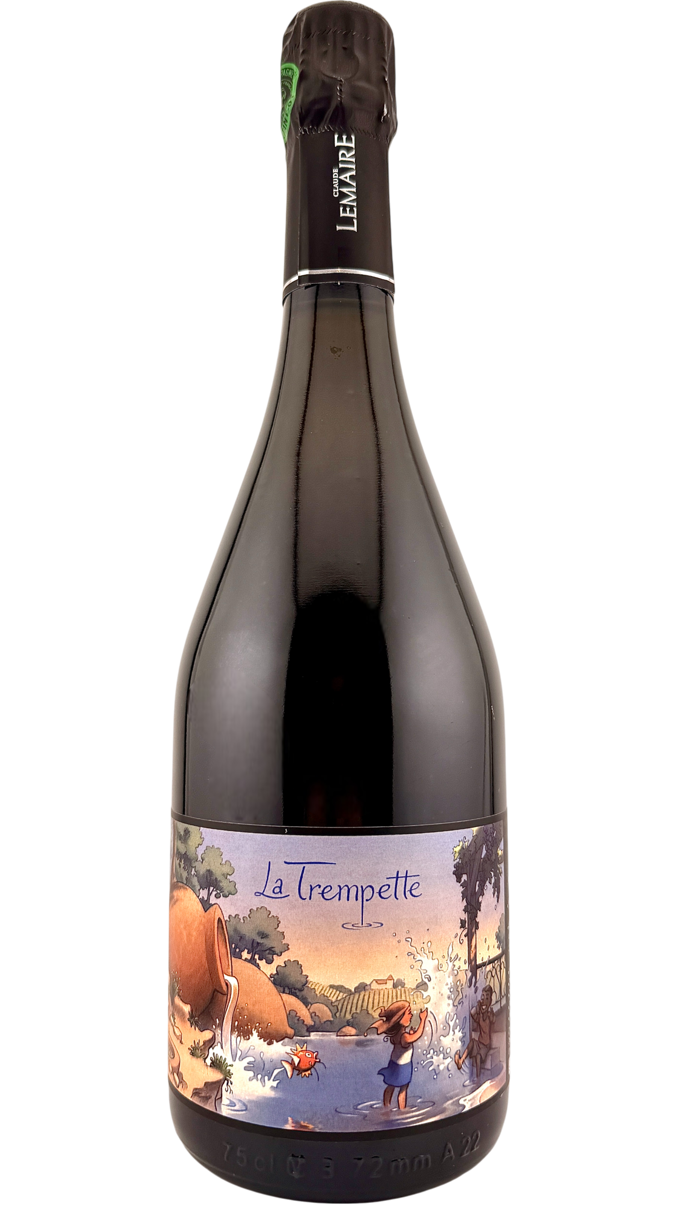 Champagne La Trempette Aurélien Lemaire sparkling wine vin naturel bio biodynamie vin naturel natural wine organic vallée de la marne pinot noir pinot meunier pinot gris chardonnay qvevri amphore