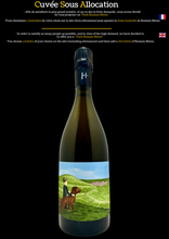 Carica l'immagine nel visualizzatore di Gallery, Champagne Romain Hénin Le gamin du terroir
