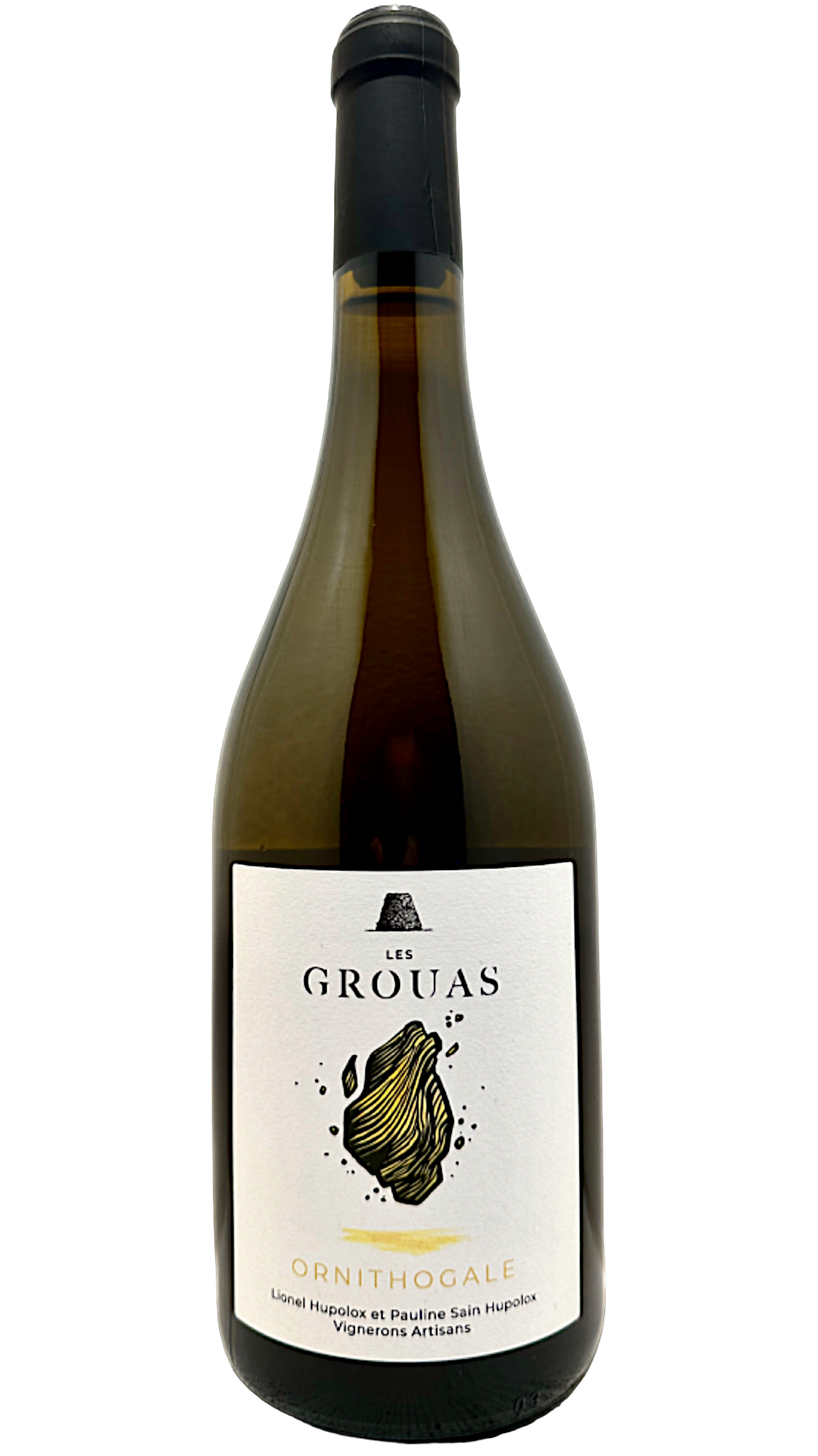 Ornithogale Anjou domaine des grouas