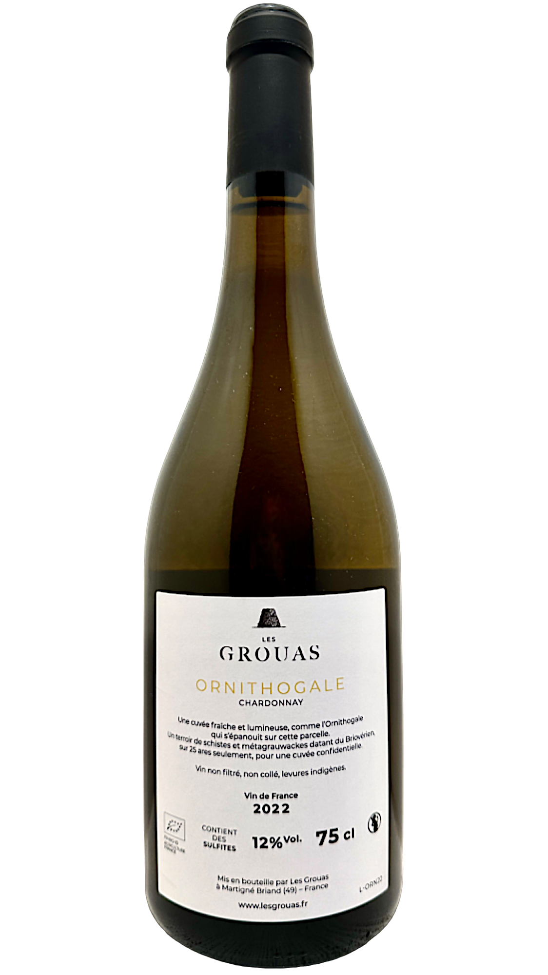Ornithogale Anjou domaine des grouas