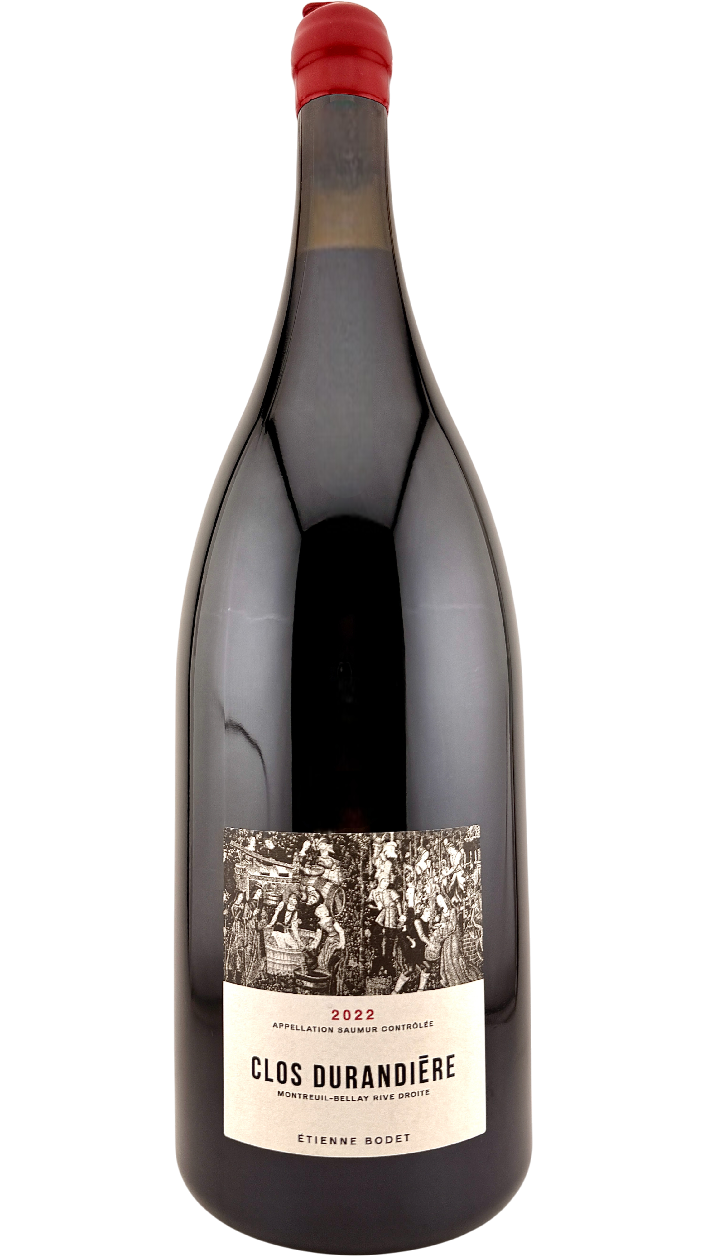 Saumur Clos durandière Etienne bodet vin rouge de la vallée de loire valley red wine clos rougeard cabernet franc grappes bio biodynamie organic vin naturel natural wine