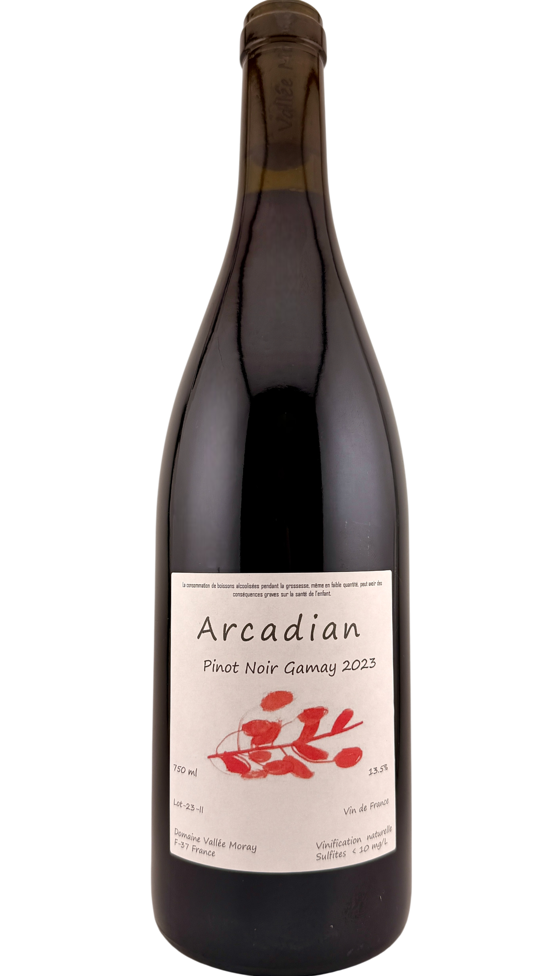 Vin de France Arcadian Domaine Vallée Moray vin rouge de la vallée de la loire red wine from loire valley pinot noir gamay organic wine biodynamie bio natural wine hervé grenier