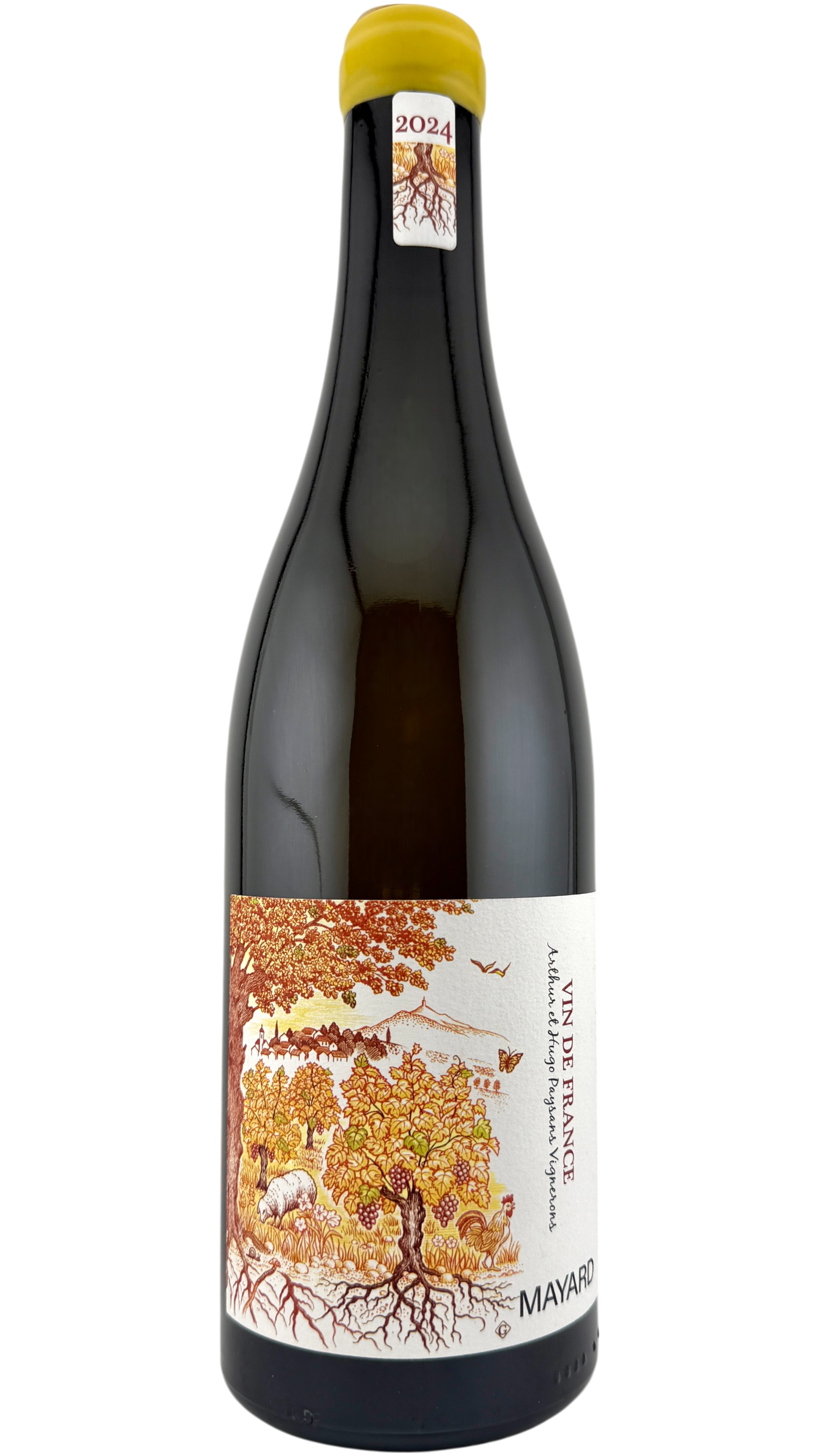 Vin de France Blanc Domaine Mayard