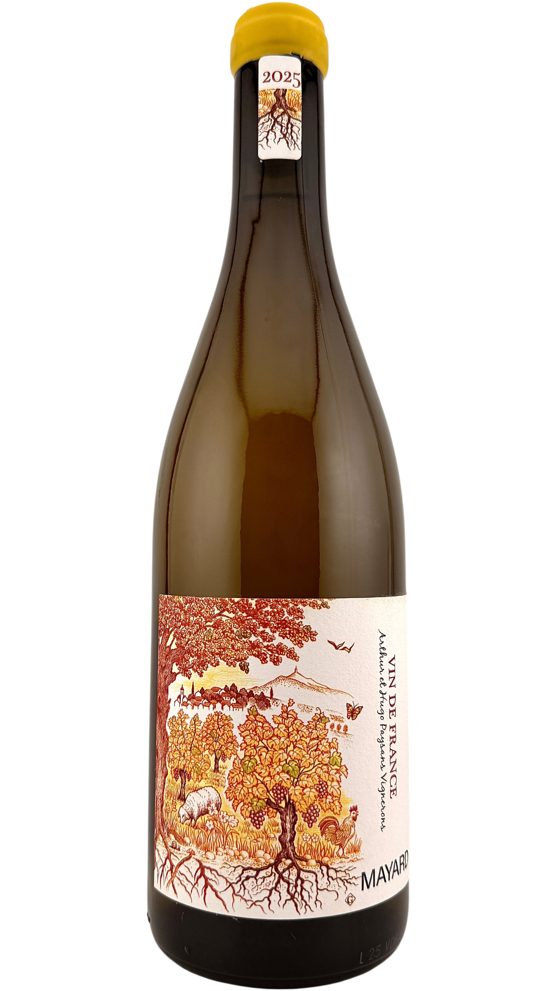 Vin de France