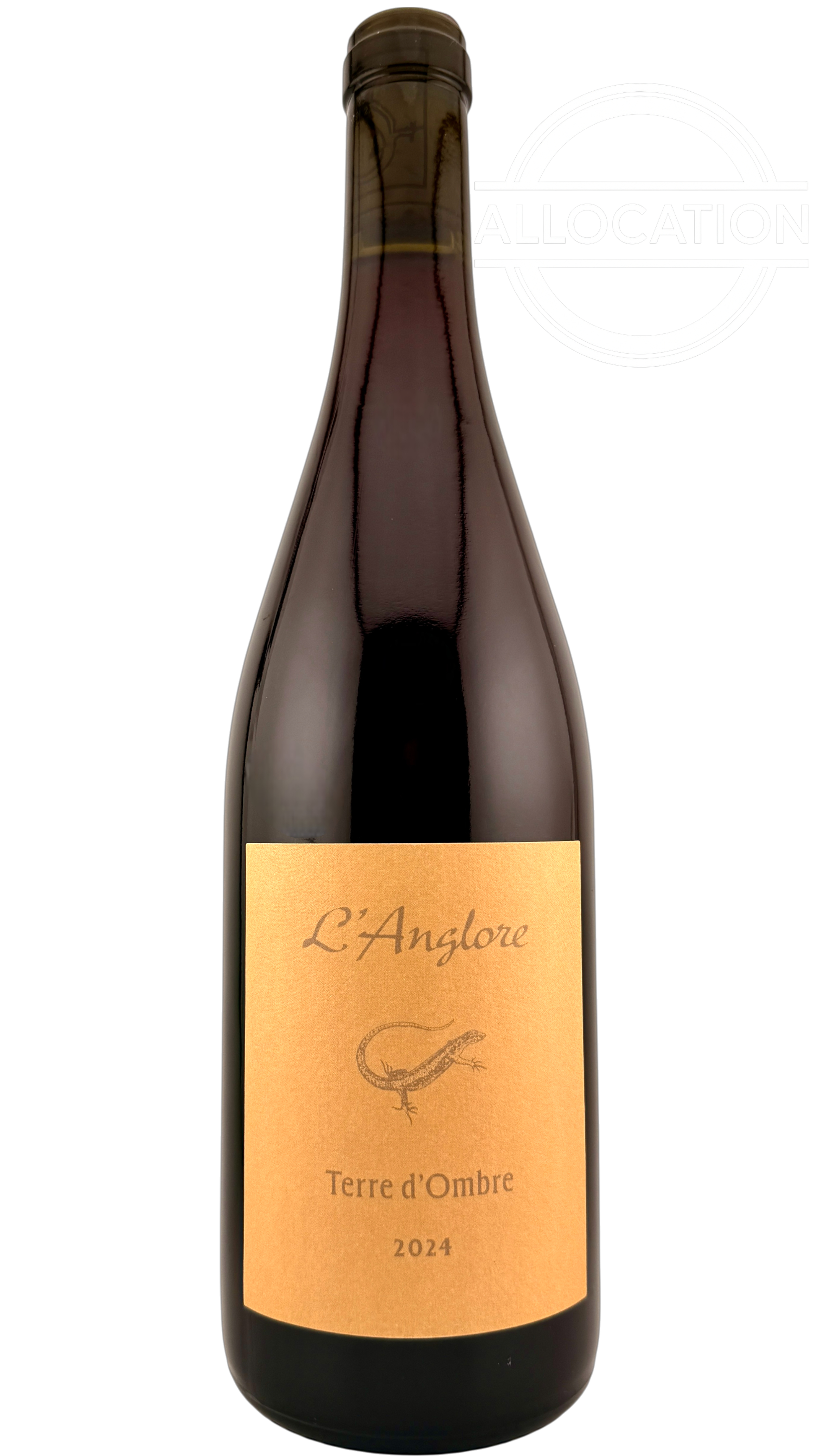 Vin de France Terre d'ombre Domaine l'anglore