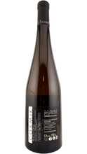 Carica l'immagine nel visualizzatore di Gallery, Alsace Cosmik Riesling Domaine Fischbach
