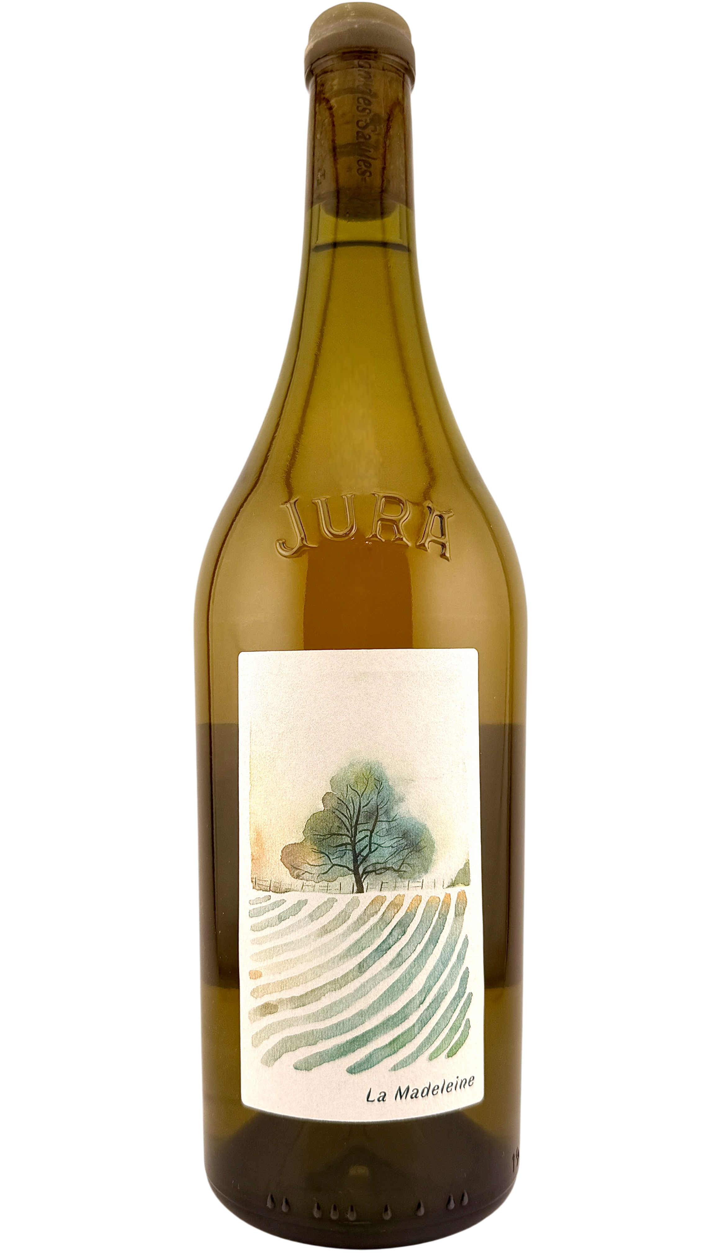 Côtes du Jura La Madeleine Maison des saules
