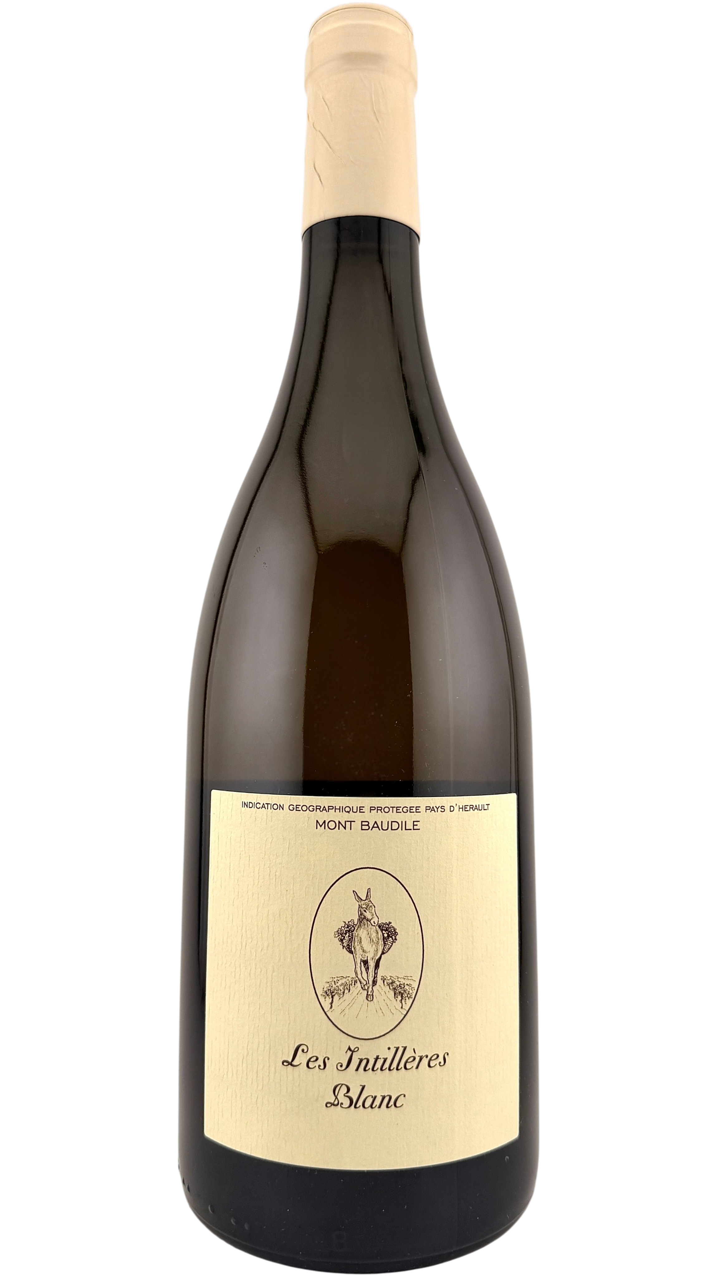 IGP Mont Baudile Les intillères blanc Domaine Supply Royer