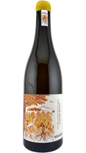 将图片加载到图库查看器，Vin de France Blanc  Domaine Mayard
