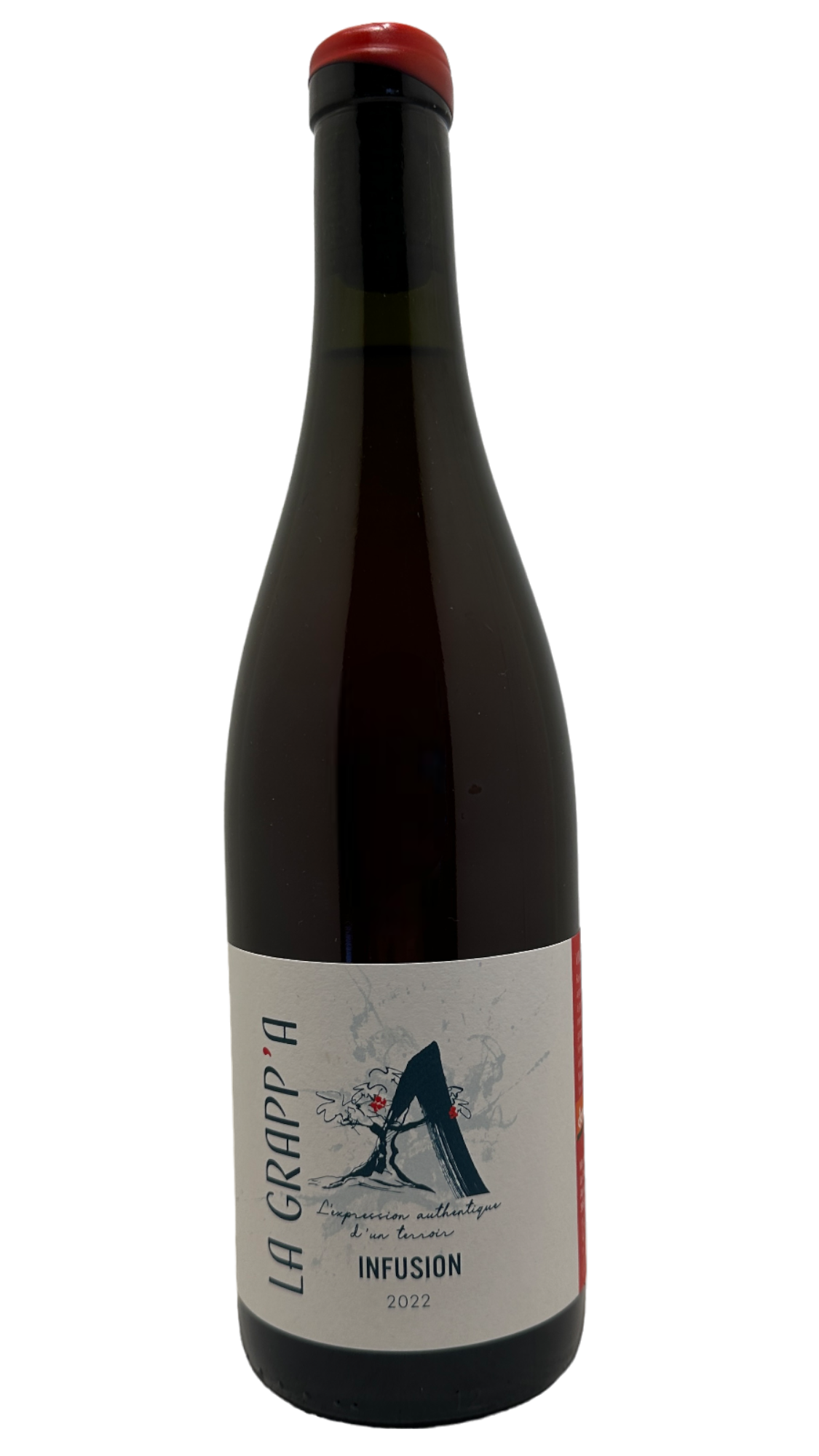 vin du jura wine organic bio biodynamie nature natural fabrice dodane domaine de saint pierre jean françois ganevat domaine ganevat aurélie parlat  vin de france infusion rouge vin rouge red wine pinot noir